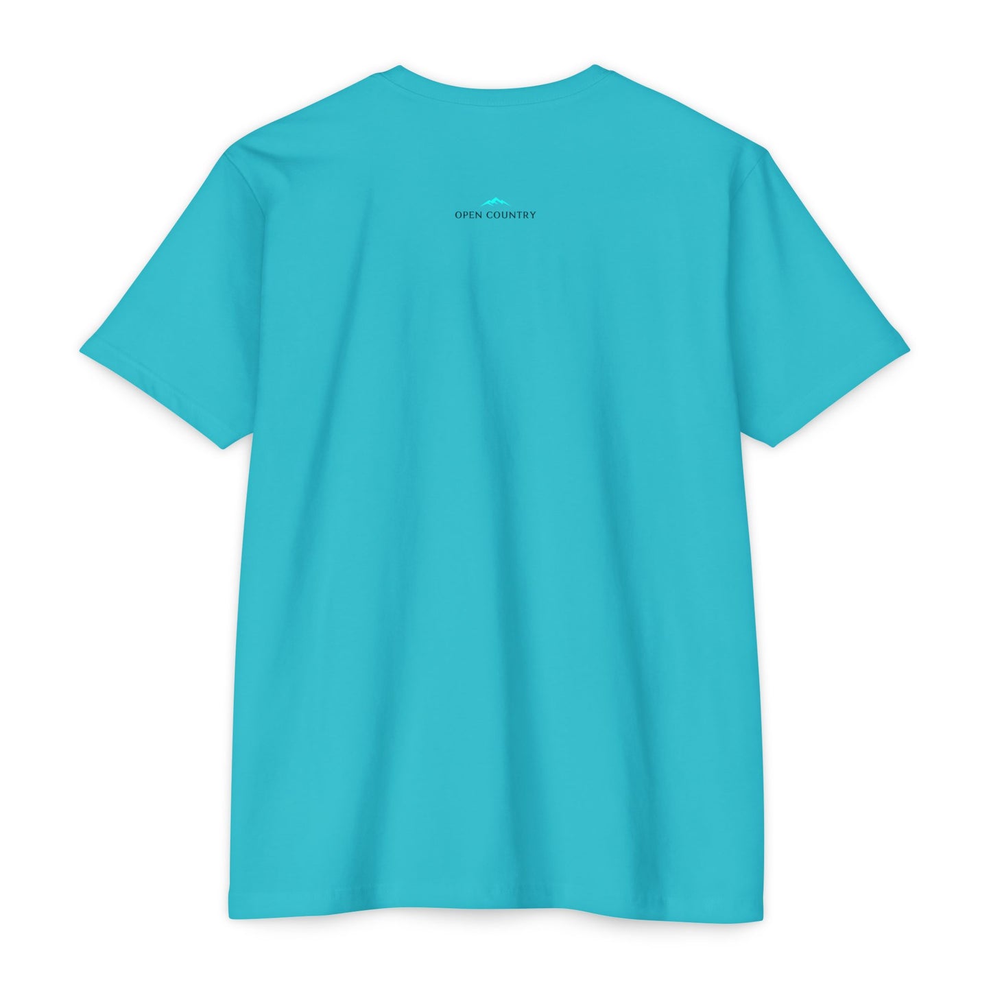 Unisex CVC Jersey T-shirt (W)