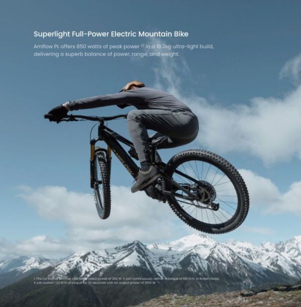 Amflow PL Carbon 800wh